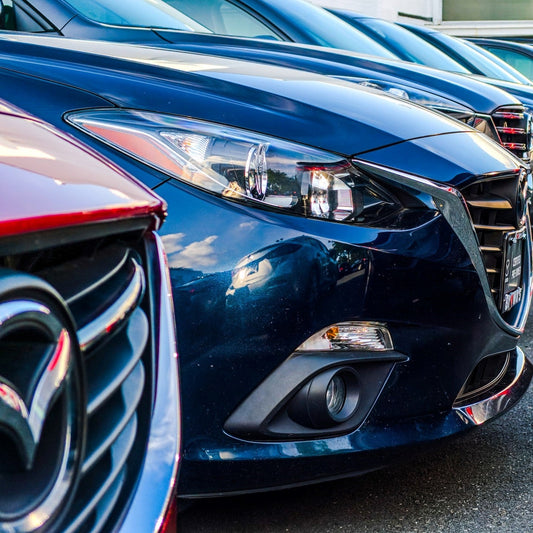 Dataset van alle autoverhuurbedrijven in Nederland