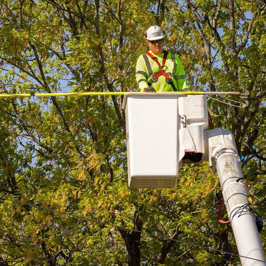 Dataset van alle boomverzorgingsbedrijven in Nederland