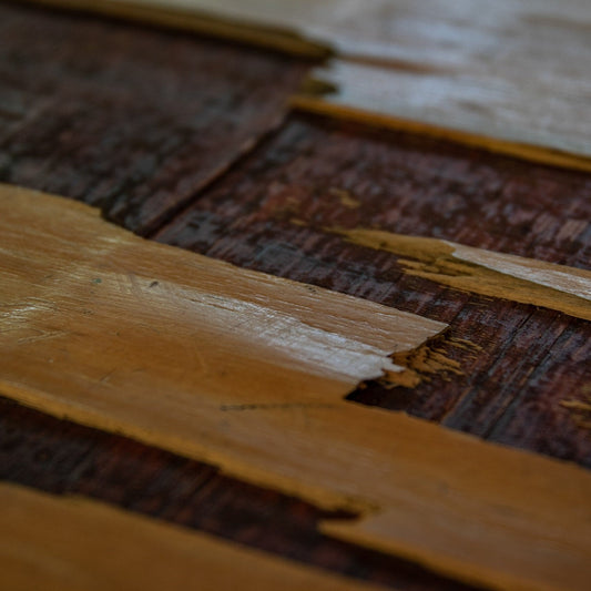 Dataset van alle vloerenbedrijven in Nederland