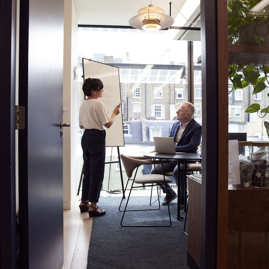 Dataset van alle managementadviesbureaus in Nederland