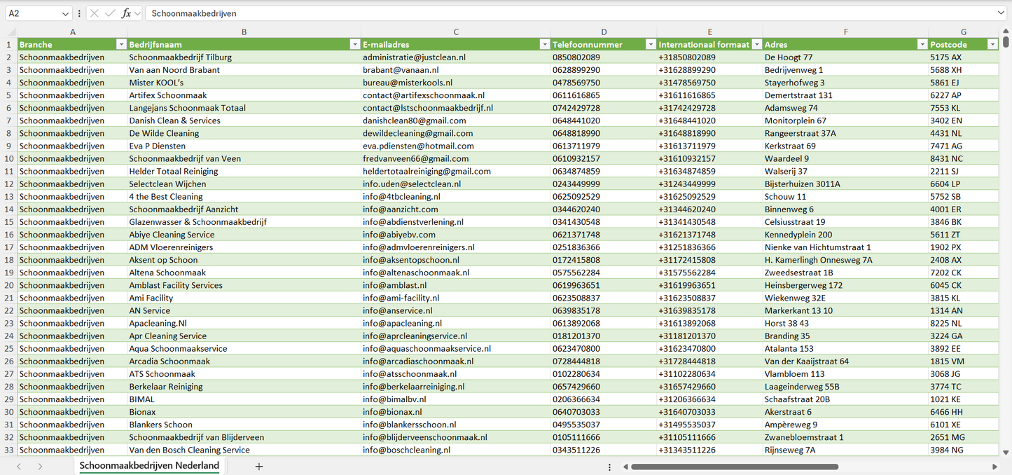 Dataset van alle schoonmaakbedrijven in Nederland