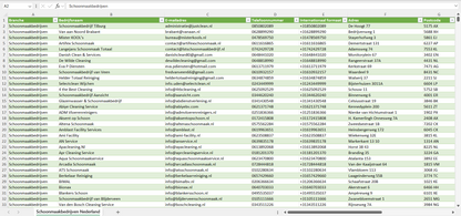 Dataset van alle schoonmaakbedrijven in Nederland